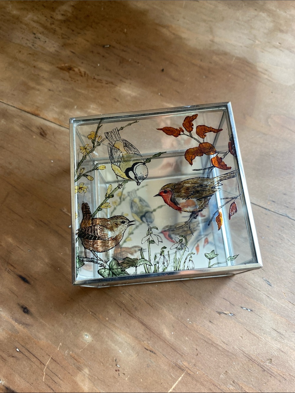 Glass and Metal Trinket Box with Hand-Painted Bird and Botanical Design